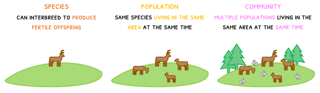 Bio Topic 4 subTopic 1 notes image 1