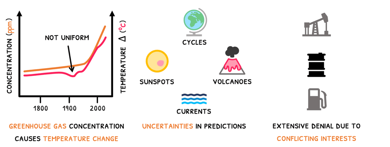 Bio Topic 4 subTopic 4 notes image 3