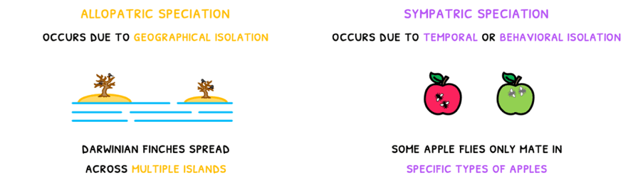 Bio Topic 10 subTopic 3 notes image 2